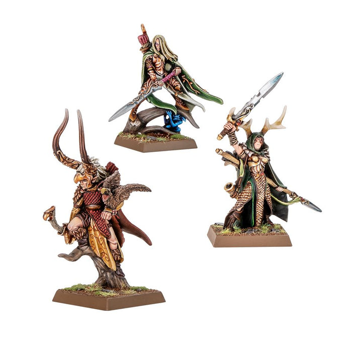 Warhammer The Old World: Wood Elf Realms: Wood Elf Nobles