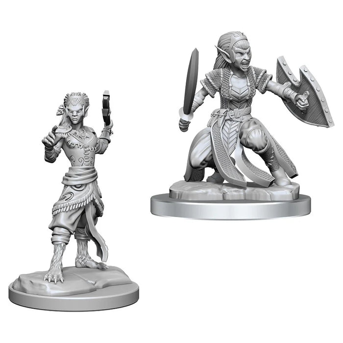 WizKids - D&D Nolzurs Marvelous Miniatures: Shifter Fighter