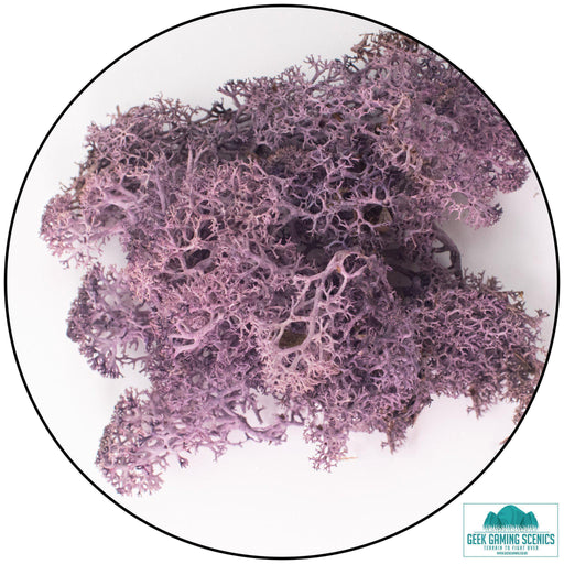 Lichen - Reindeer Moss (Icelandic Moss) Aubergine Purple-Geek Gaming